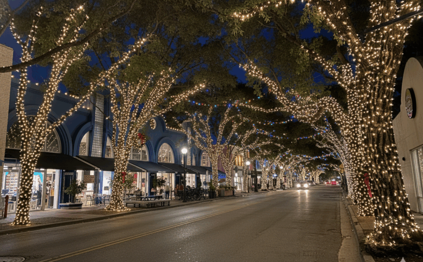 Where Can You See the Best Holiday Lights in Miami-Dade County in 2025?